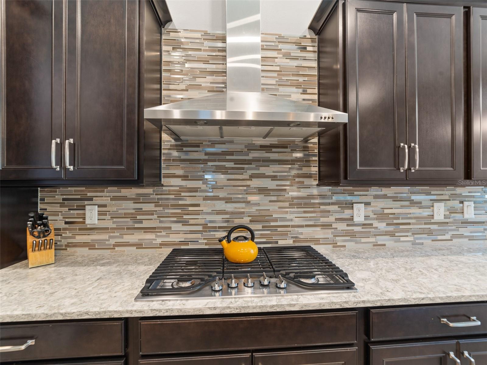 5807 JASPER GLEN DR, LITHIA, FL, 33547