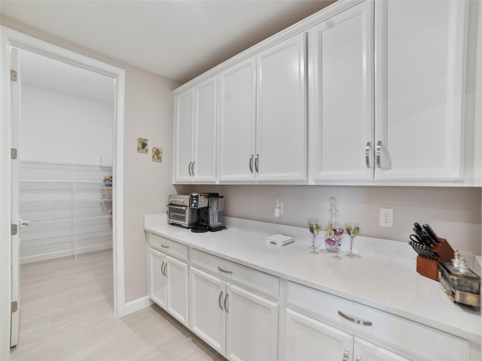 5313 WINDY GROVE DR, WIMAUMA, FL, 33598