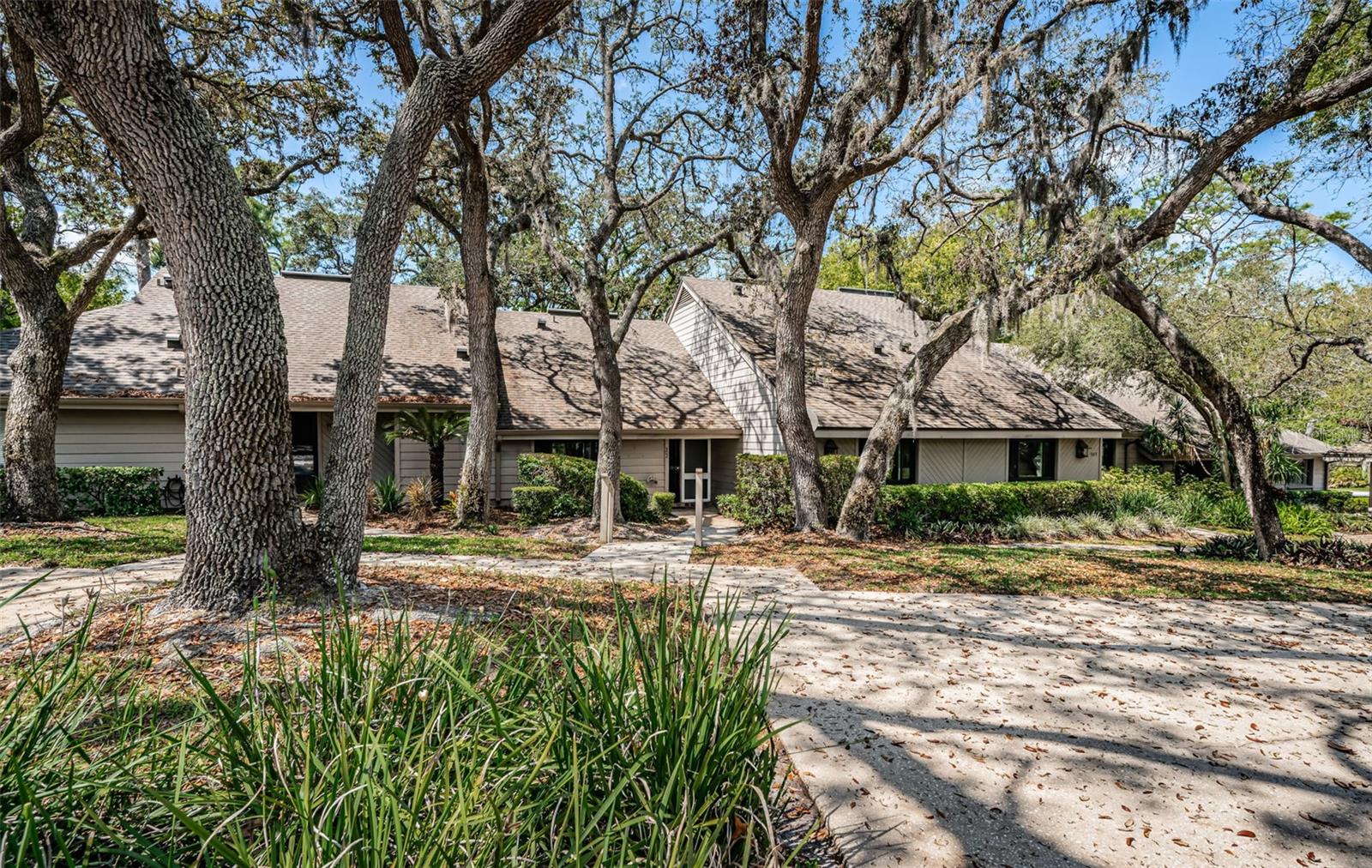 902 OLD MILL POND RD, PALM HARBOR, FL, 34683