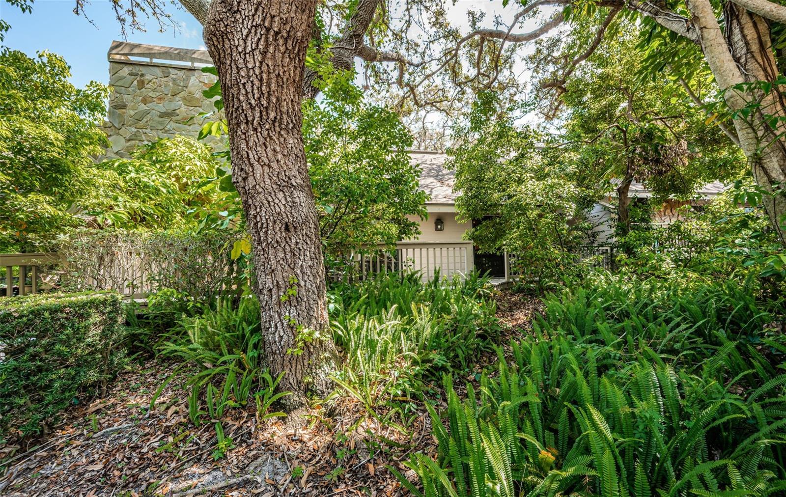 902 OLD MILL POND RD, PALM HARBOR, FL, 34683