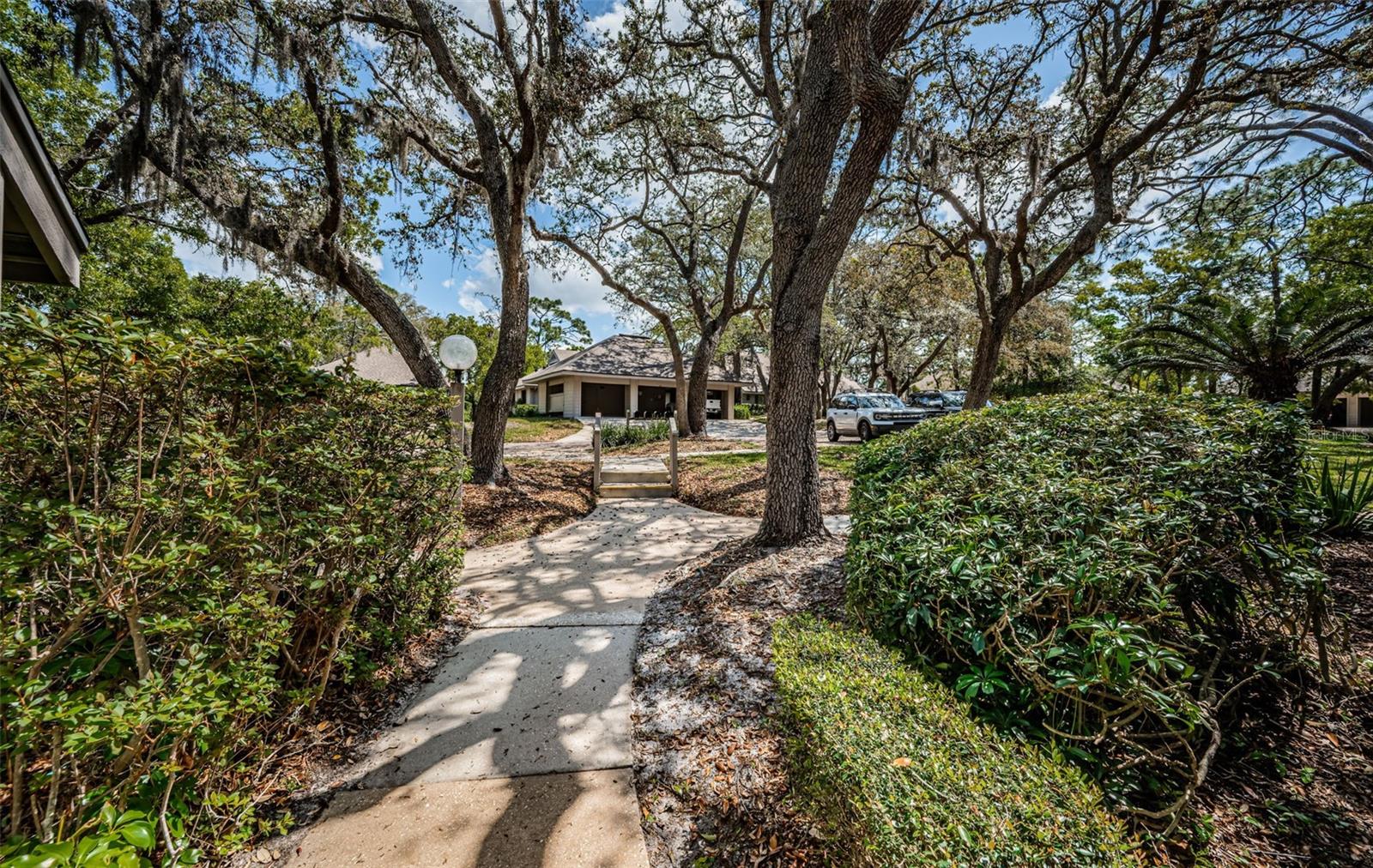 902 OLD MILL POND RD, PALM HARBOR, FL, 34683