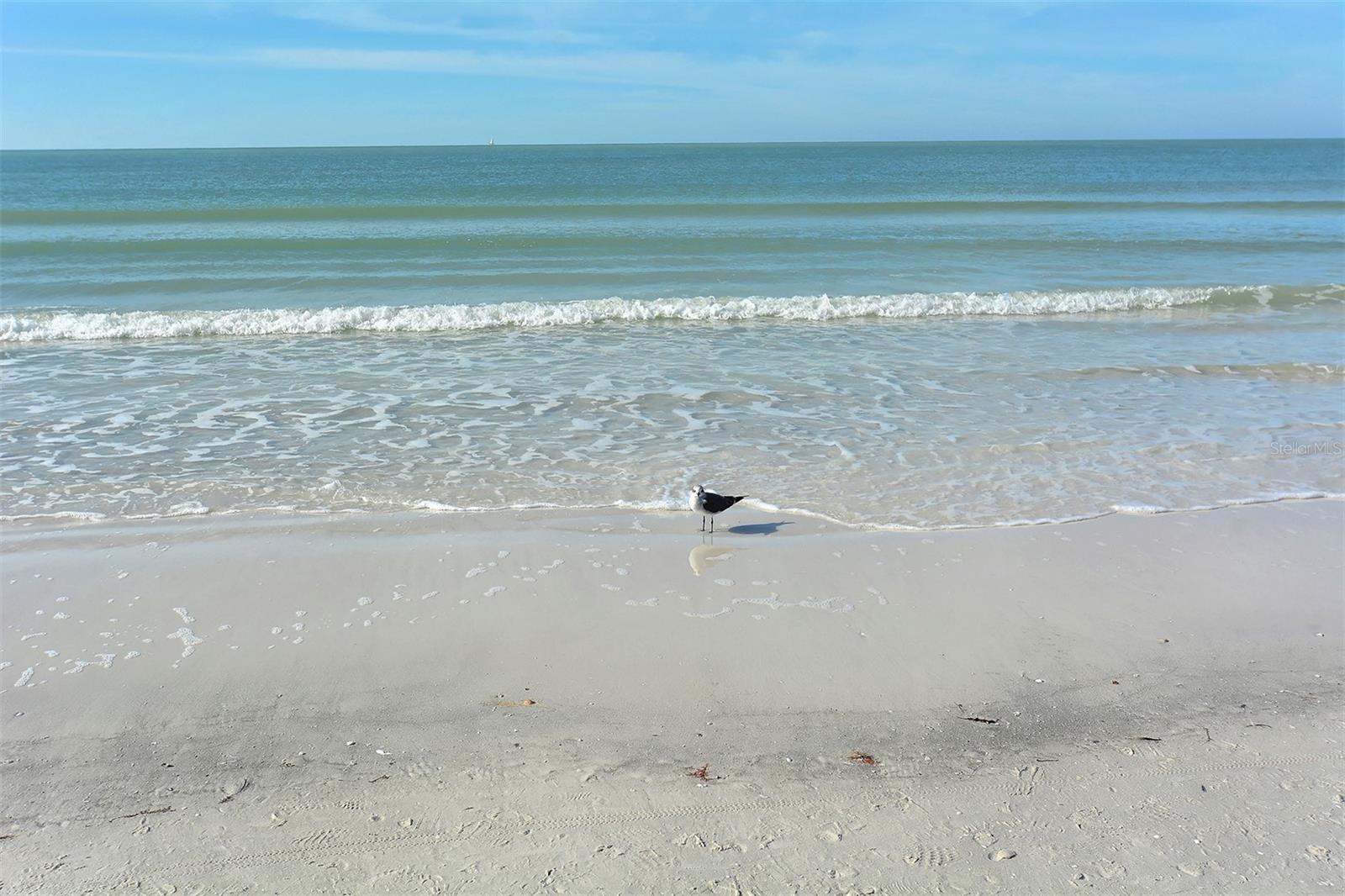 5963 MIDNIGHT PASS RD #355, SARASOTA, FL, 34242