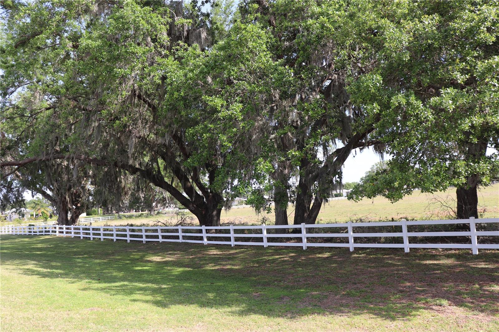 4781 SE 94TH AVE, WEBSTER, FL, 33597