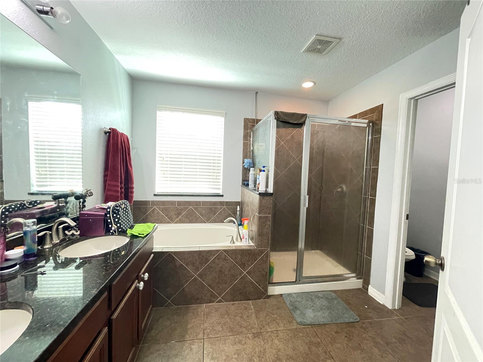 2804 PEWTER MIST CT, OVIEDO, FL, 32765