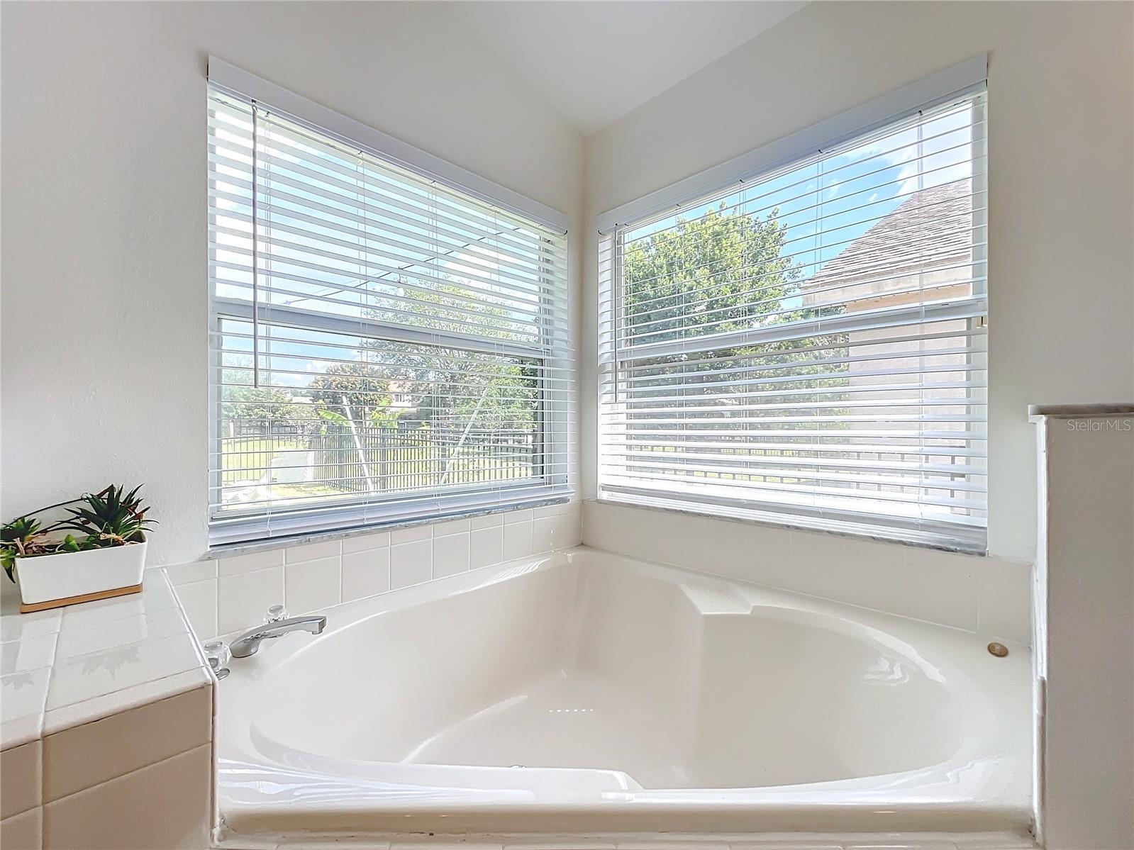 9838 PECKY CYPRESS WAY, ORLANDO, FL, 32836