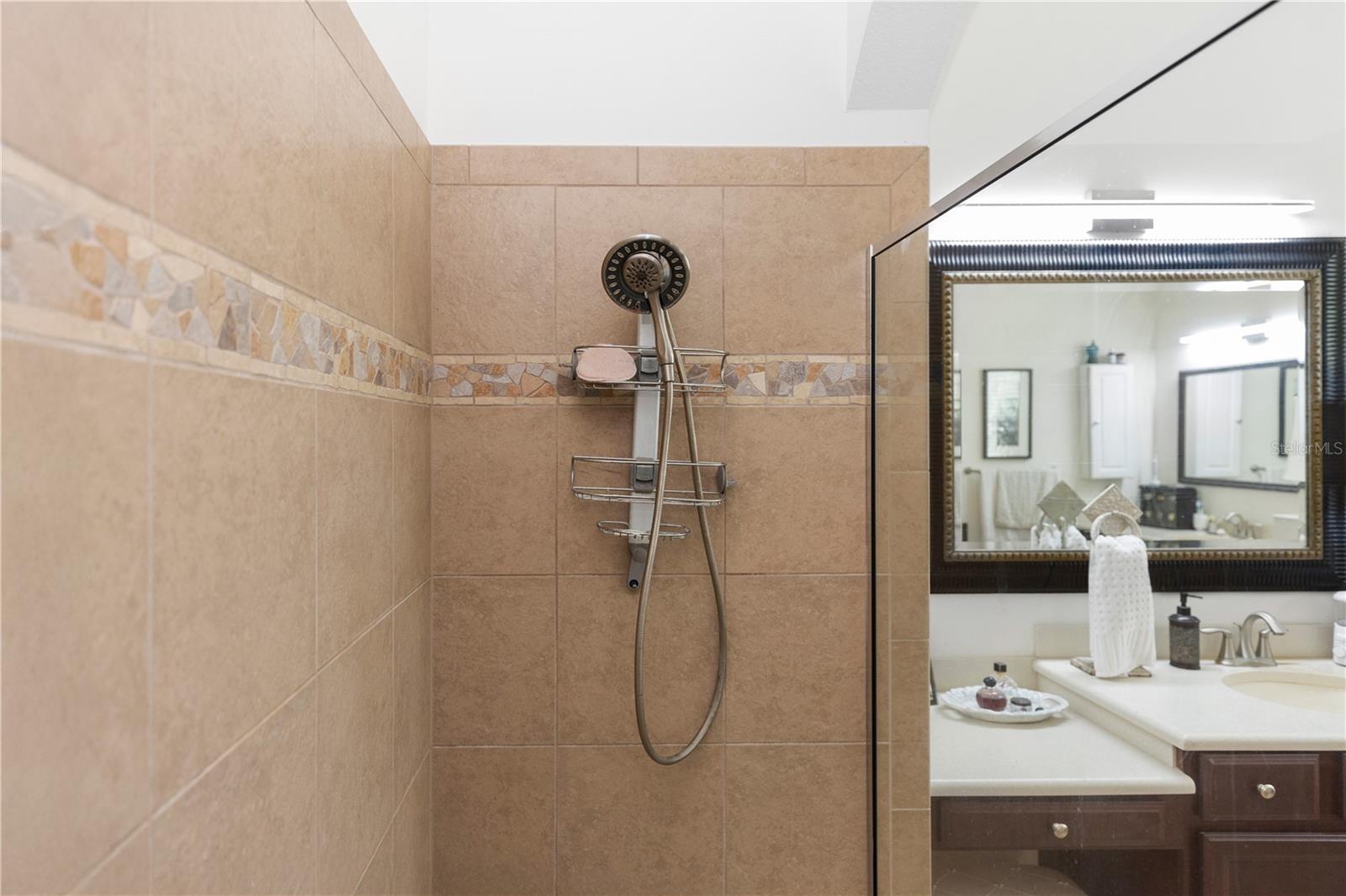 4901 LAKE MILLY DR, ORLANDO, FL, 32839