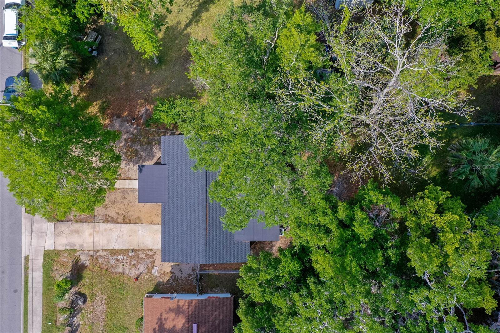 906 MAGNOLIA AVE, DAYTONA BEACH, FL, 32114