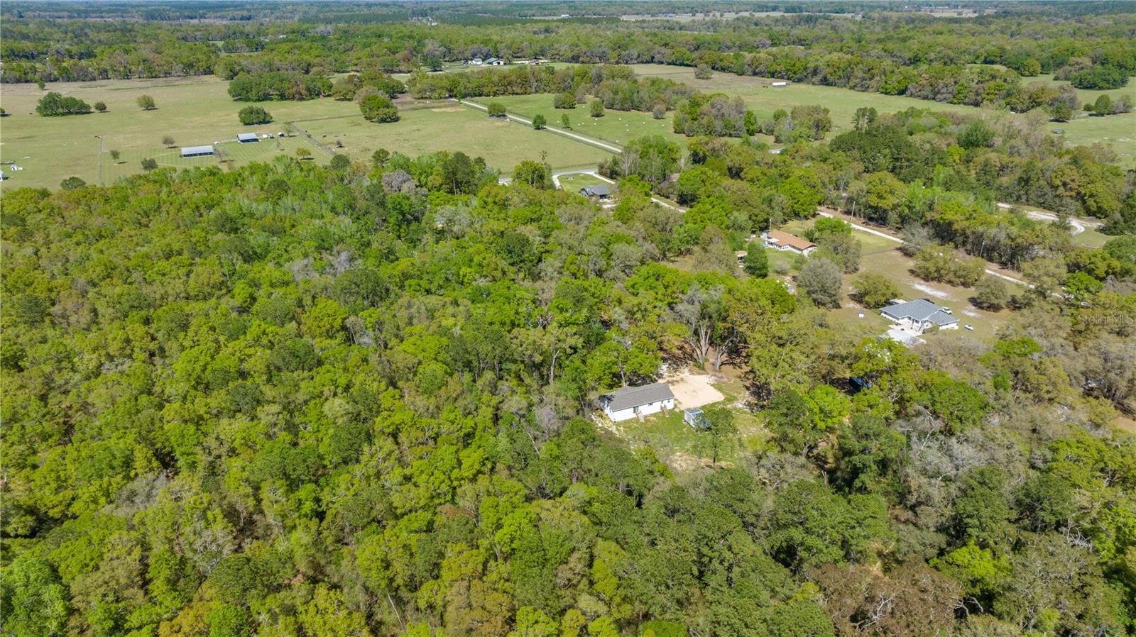 16244 NE 60TH ST, WILLISTON, FL, 32696