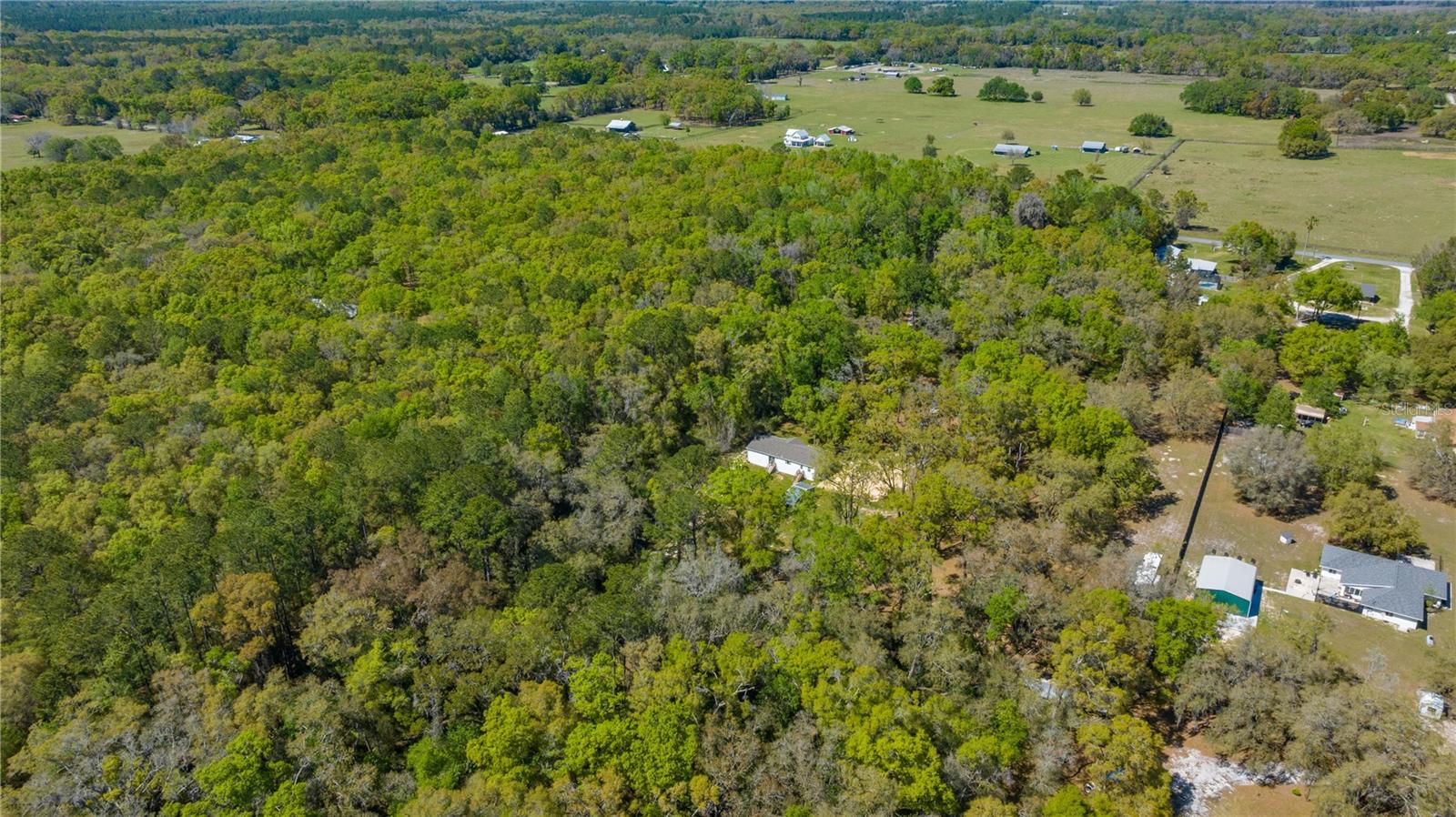 16244 NE 60TH ST, WILLISTON, FL, 32696