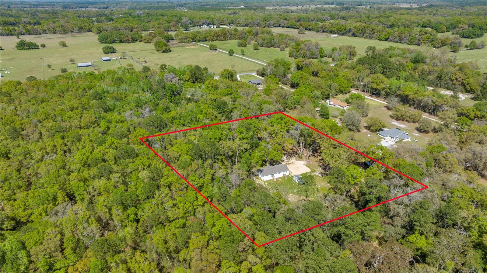 16244 NE 60TH ST, WILLISTON, FL, 32696