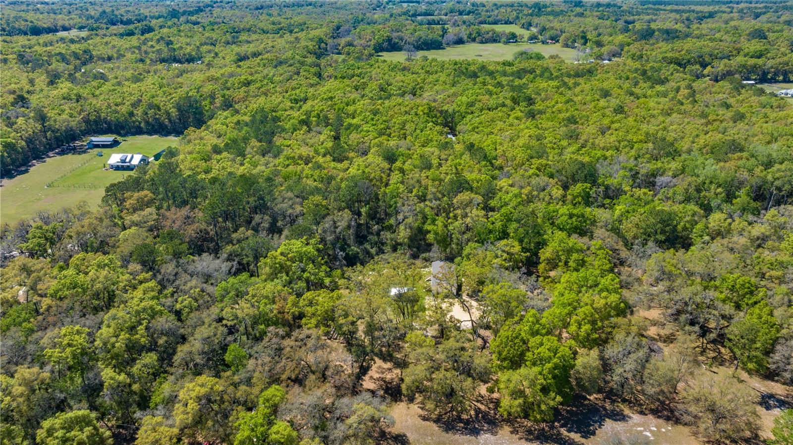 16244 NE 60TH ST, WILLISTON, FL, 32696