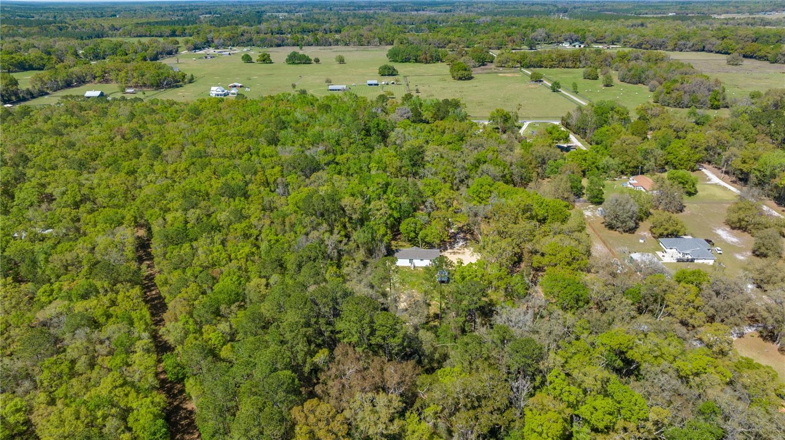 16244 NE 60TH ST, WILLISTON, FL, 32696