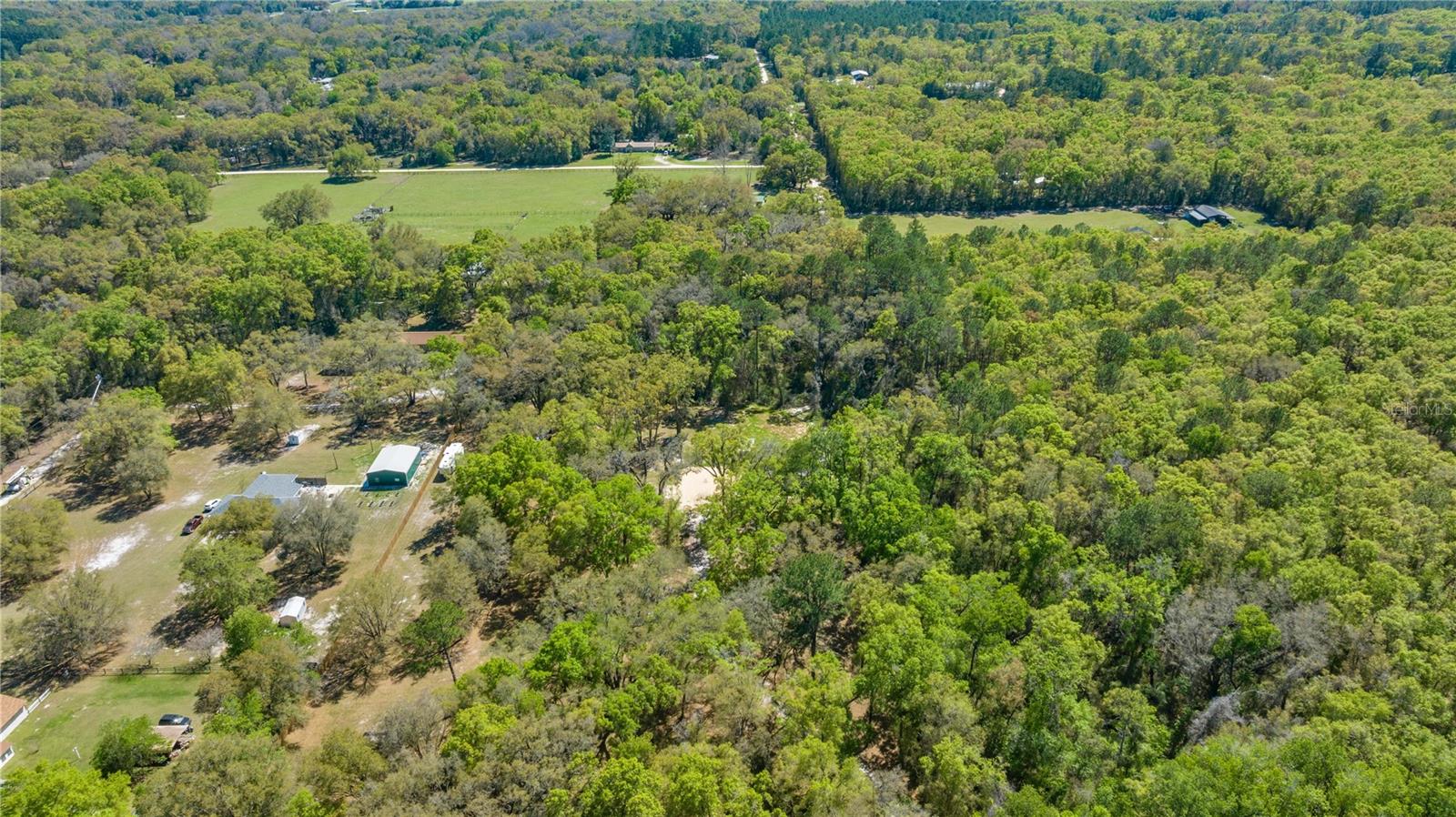 16244 NE 60TH ST, WILLISTON, FL, 32696