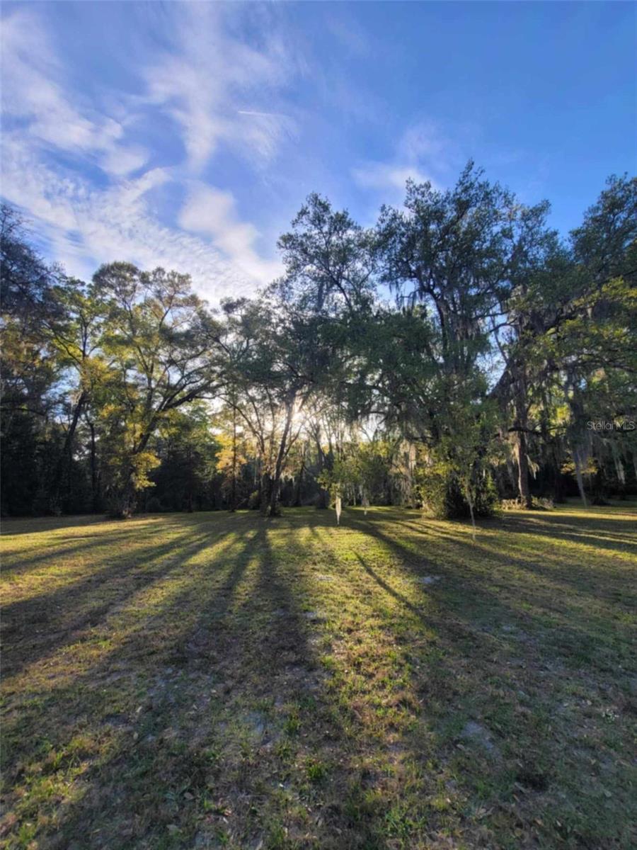 16244 NE 60TH ST, WILLISTON, FL, 32696