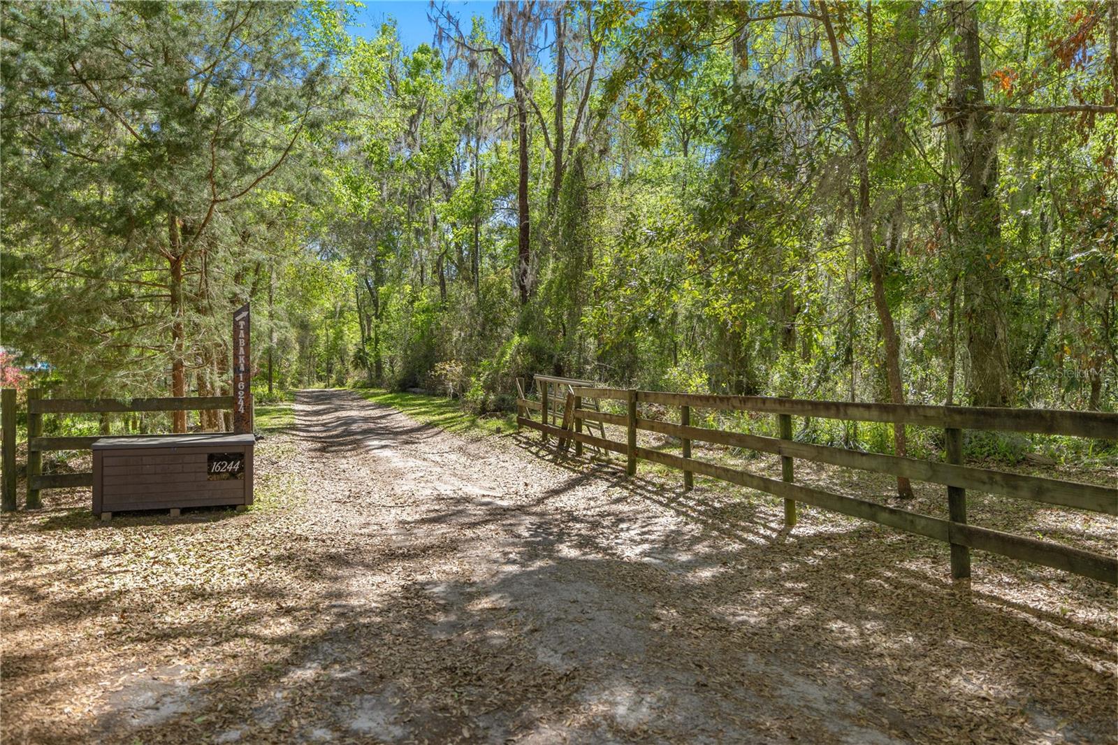 16244 NE 60TH ST, WILLISTON, FL, 32696
