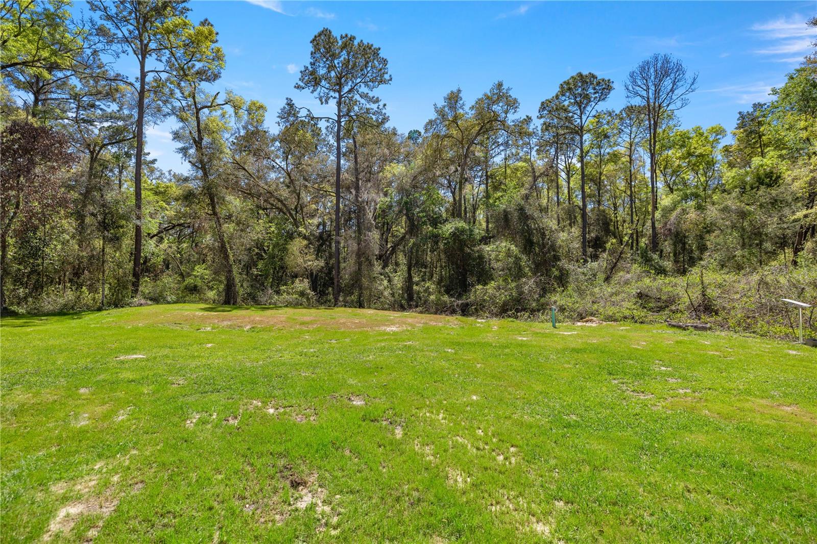 16244 NE 60TH ST, WILLISTON, FL, 32696