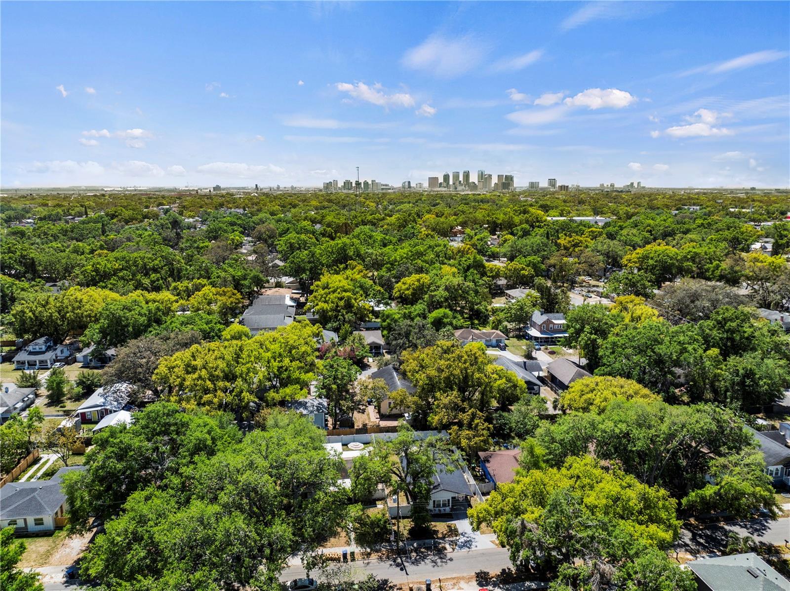 1213 E EMMA ST, TAMPA, FL, 33603