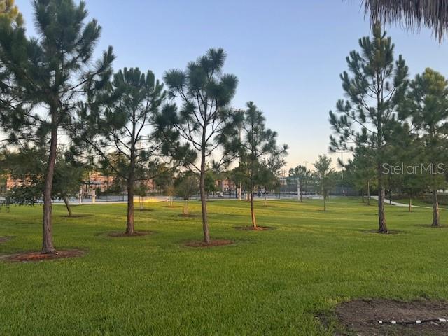 806 W ADALEE ST, TAMPA, FL, 33603