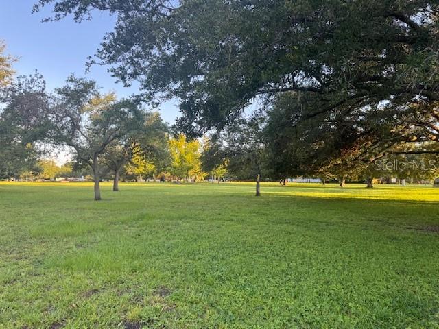 806 W ADALEE ST, TAMPA, FL, 33603