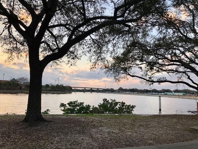 806 W ADALEE ST, TAMPA, FL, 33603