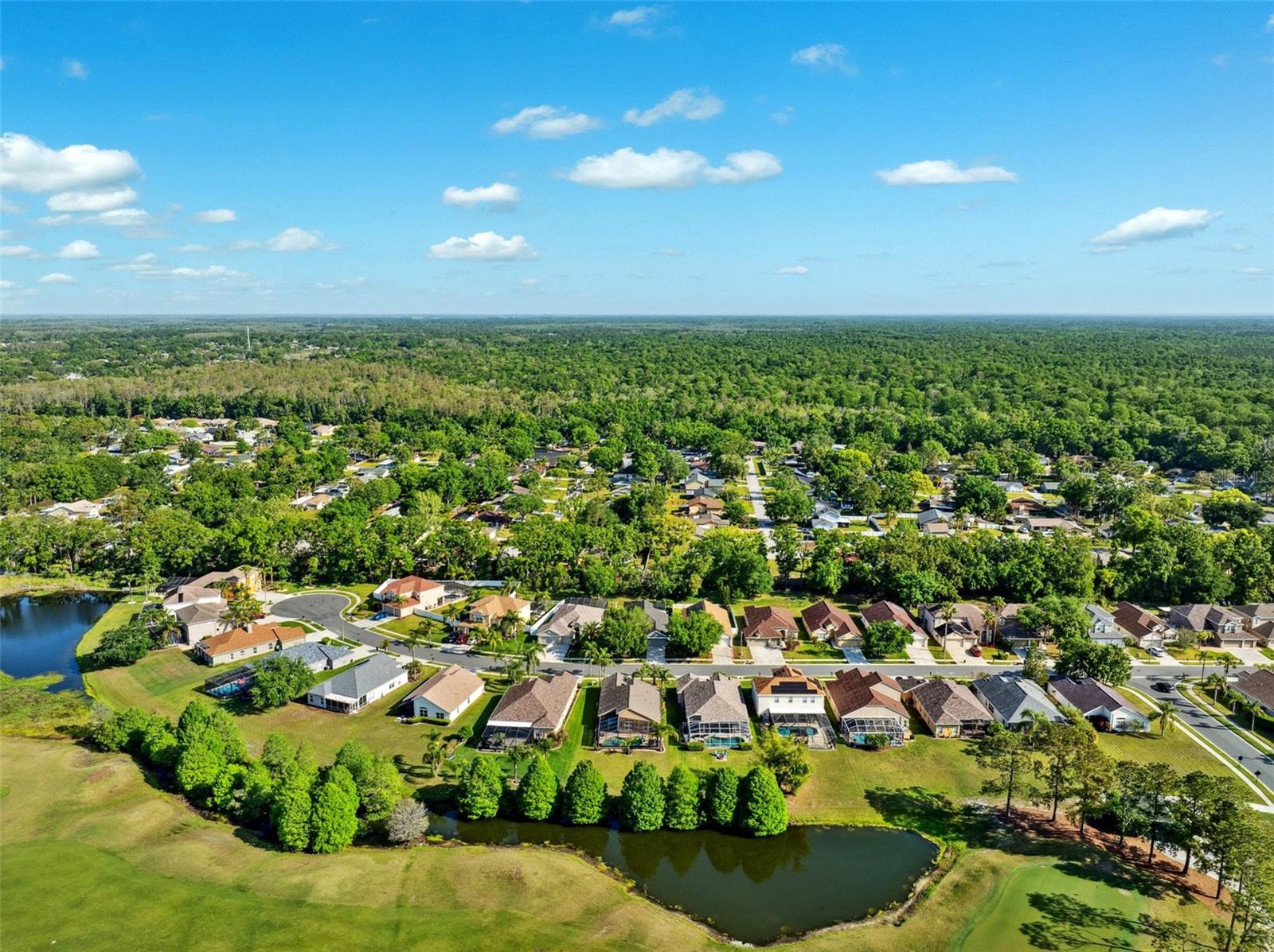 23802 HASTINGS WAY, LAND O LAKES, FL, 34639