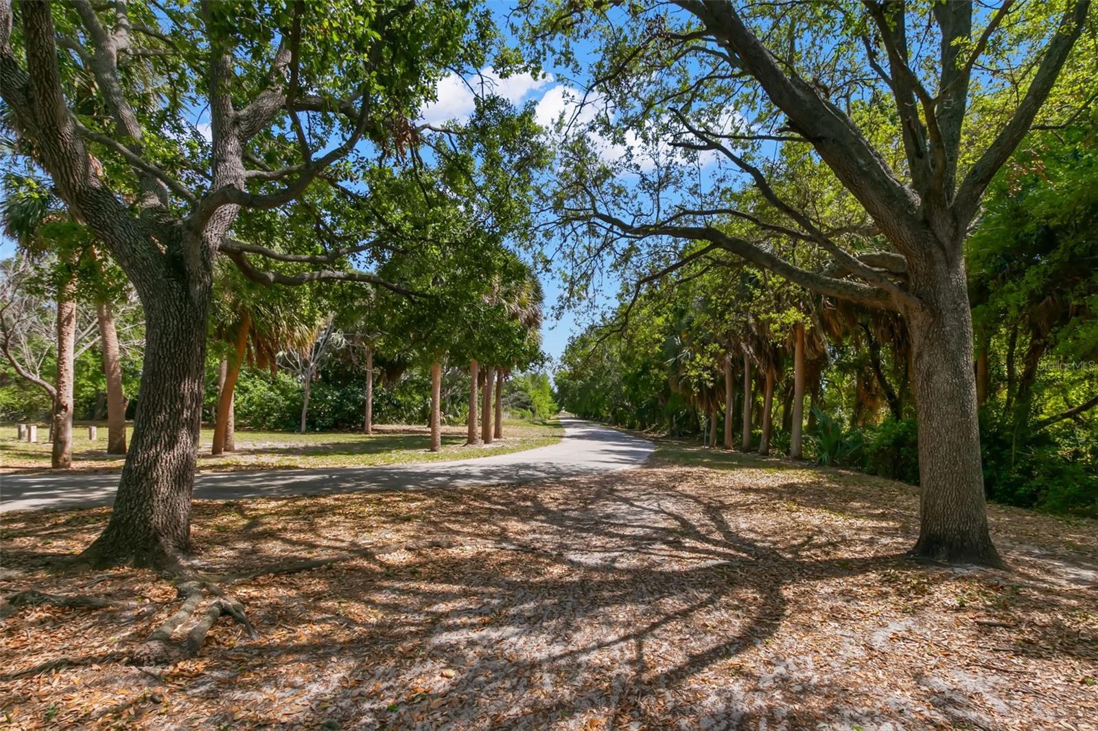 3945 VERSAILLES DR, TAMPA, FL, 33634