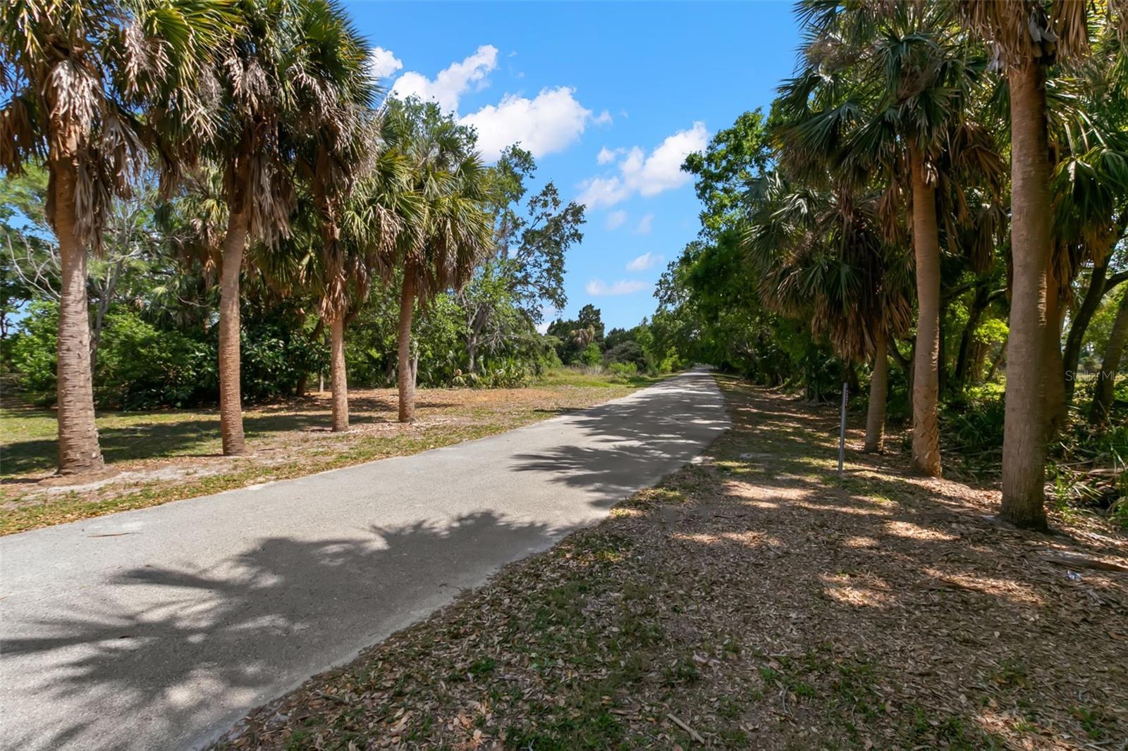 3945 VERSAILLES DR, TAMPA, FL, 33634