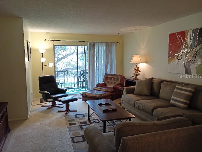 865 VIRGINIA CT #201, DUNEDIN, FL, 34698