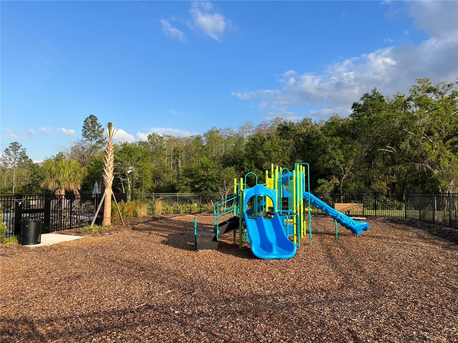 2211 PORTRAIT ST, KISSIMMEE, FL, 34758