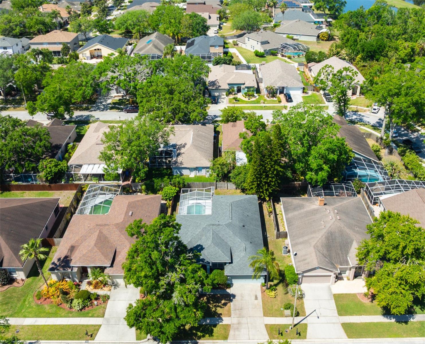 12920 LAKE VENTANA DR, TAMPA, FL, 33625