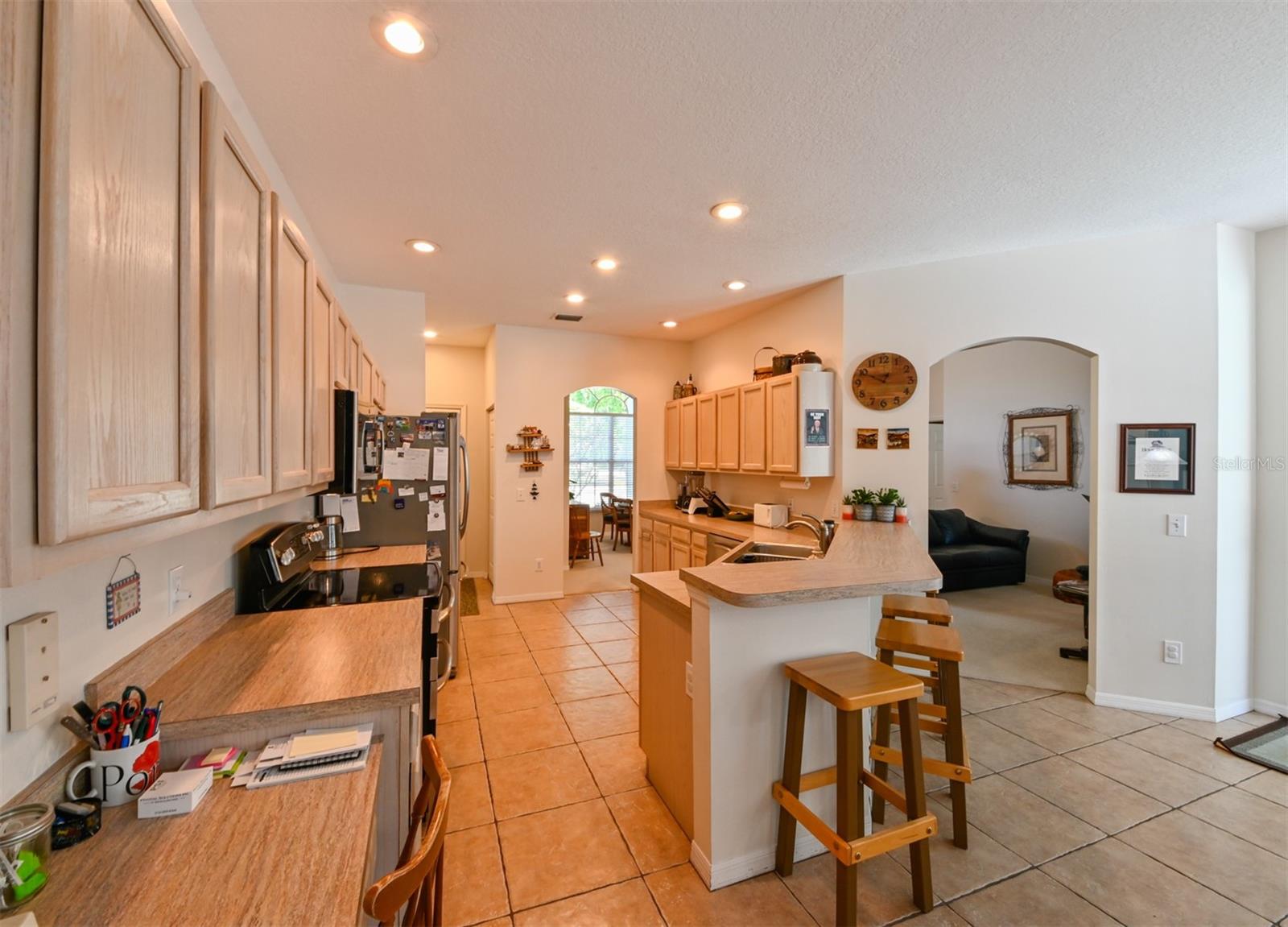 12920 LAKE VENTANA DR, TAMPA, FL, 33625