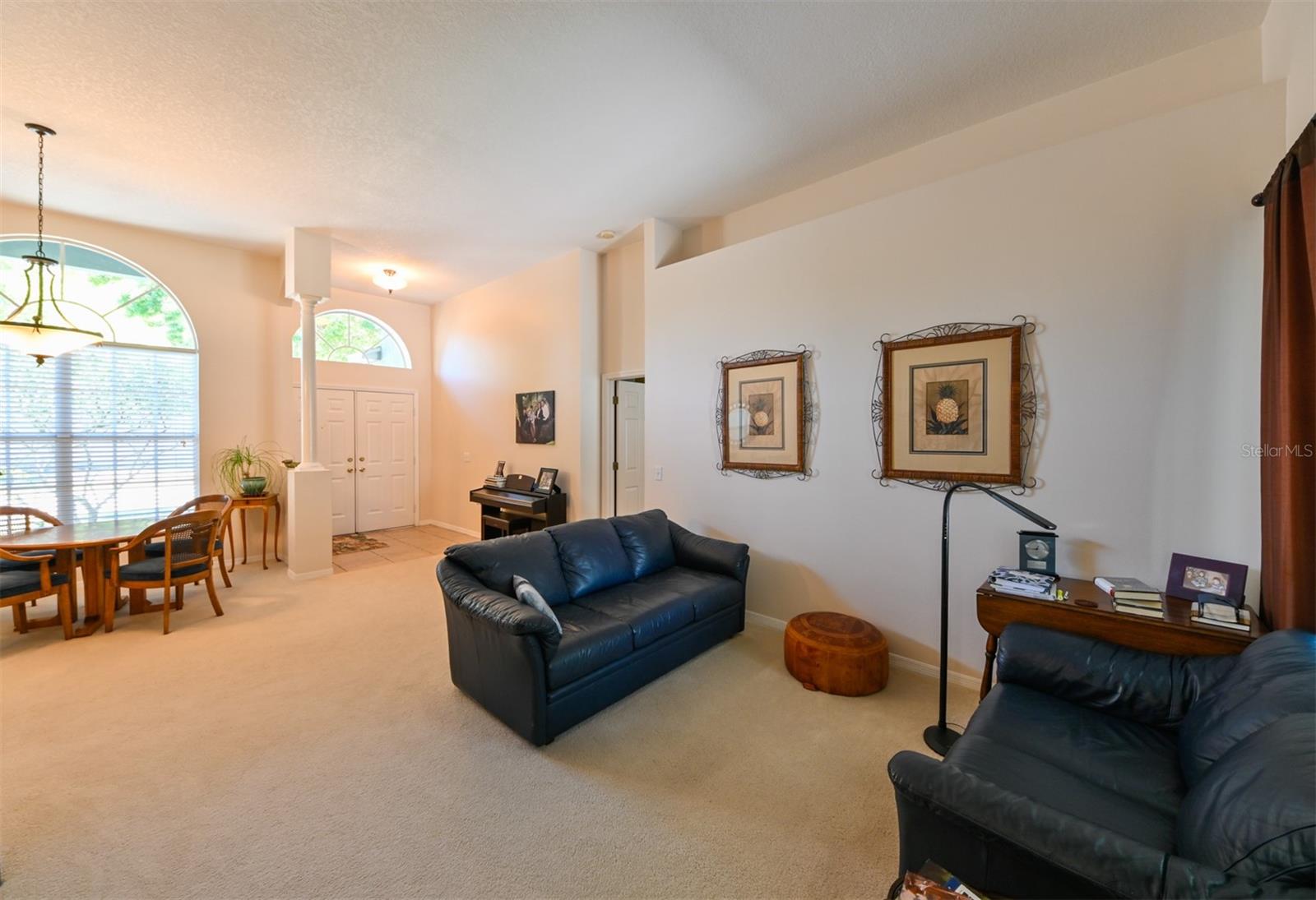 12920 LAKE VENTANA DR, TAMPA, FL, 33625