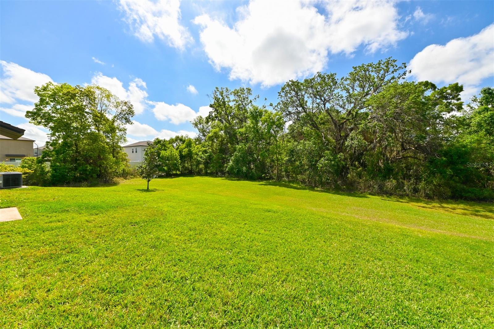 6416 COBBLE BLISS ST, ZEPHYRHILLS, FL, 33541