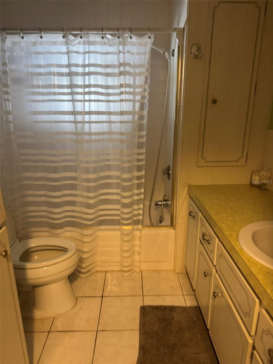 3301 ALT 19 #244, DUNEDIN, FL, 34698