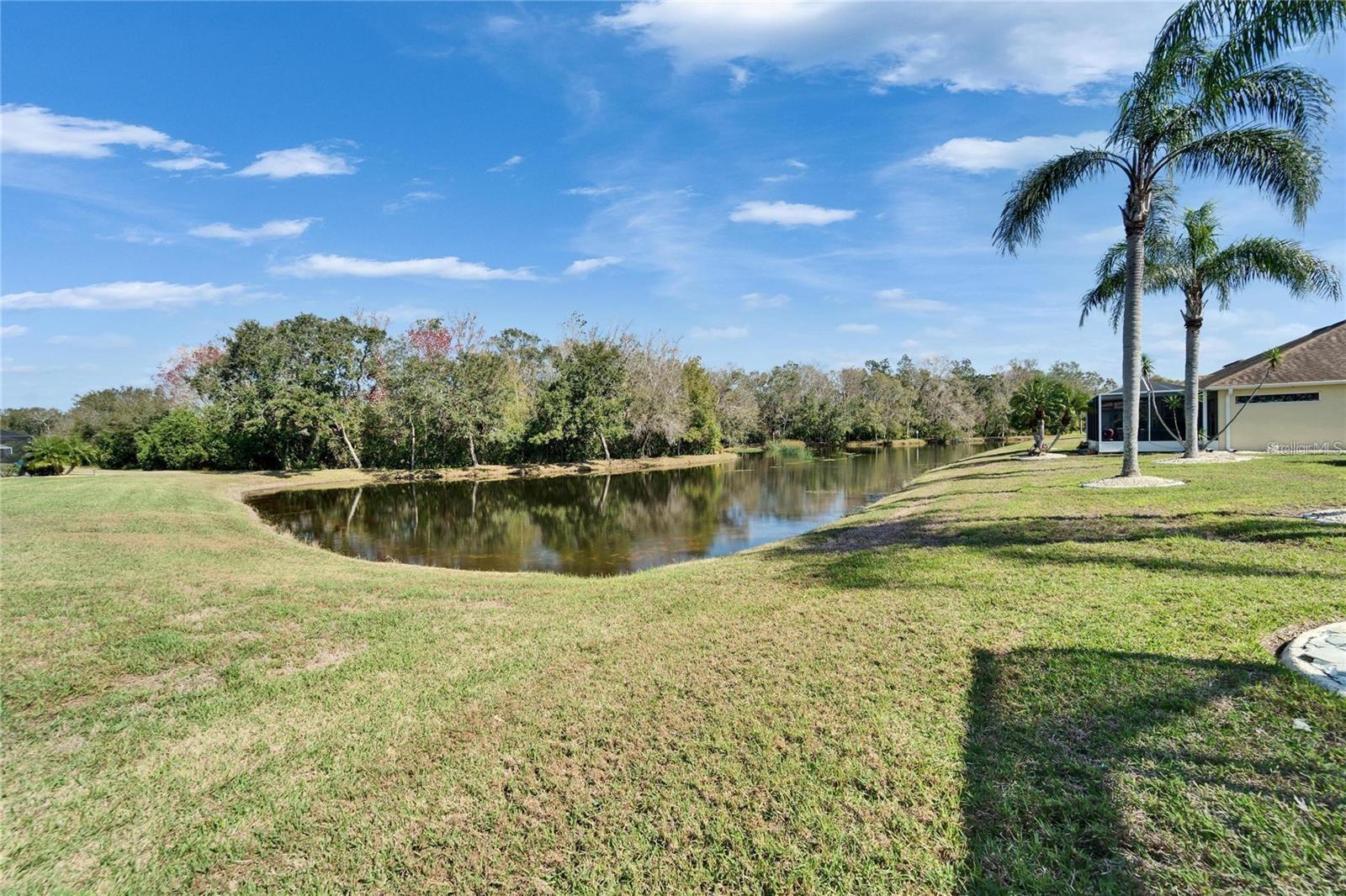 1228 CALOOSA CREEK CT, SUN CITY CENTER, FL, 33573