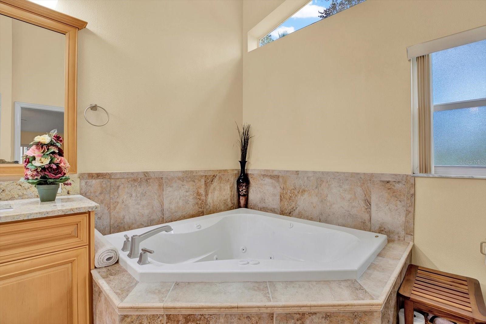 7430 BLUE SKIES DR, SPRING HILL, FL, 34606