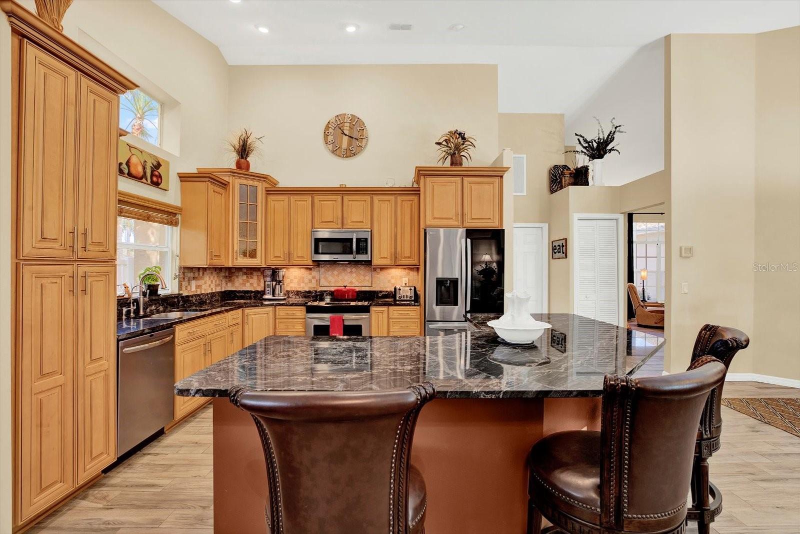 7430 BLUE SKIES DR, SPRING HILL, FL, 34606