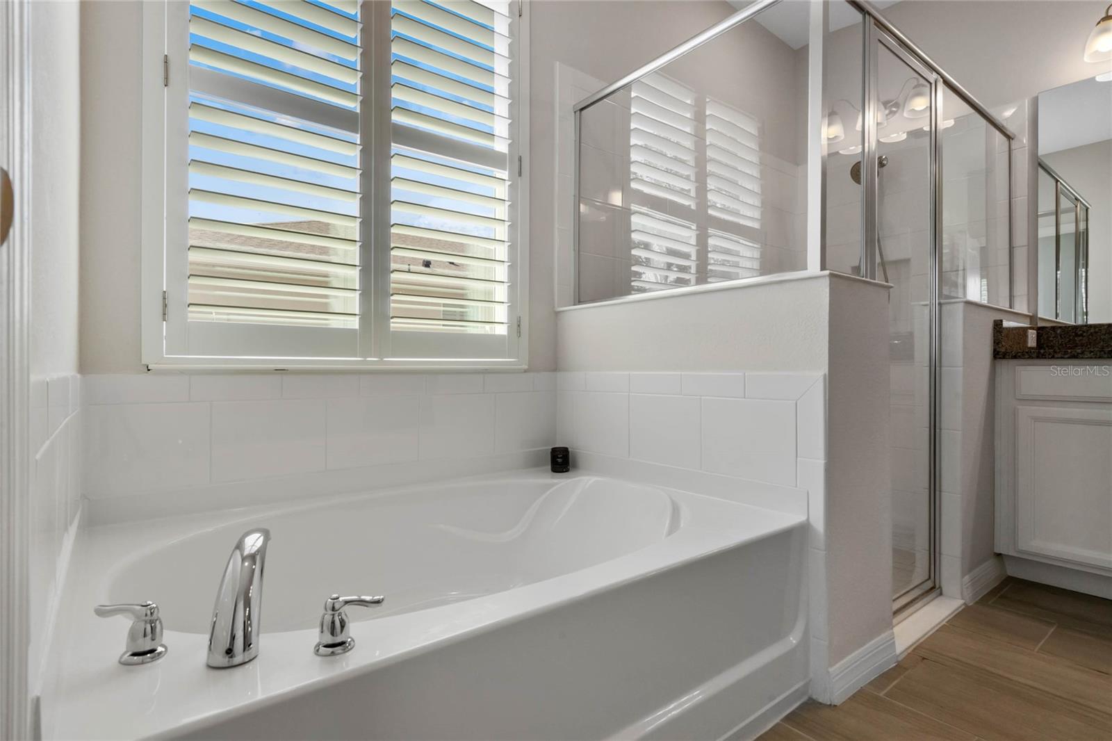 17938 HITHER HILLS CIR, WINTER GARDEN, FL, 34787