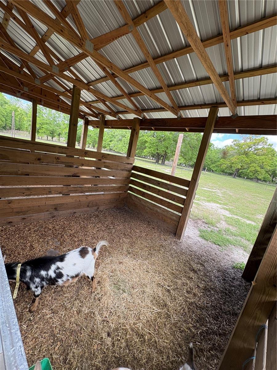 6659 SE 85TH AVE, NEWBERRY, FL, 32669