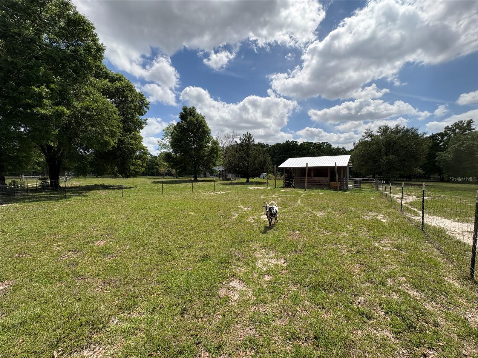 6659 SE 85TH AVE, NEWBERRY, FL, 32669
