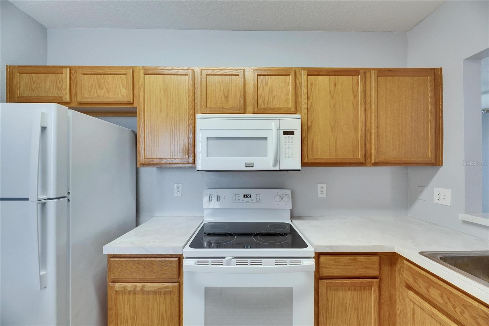 9516 AMBERDALE CT #202, RIVERVIEW, FL, 33578