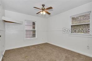 7420 BAY DR, TAMPA, FL, 33635