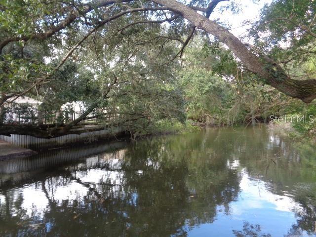 7420 BAY DR, TAMPA, FL, 33635