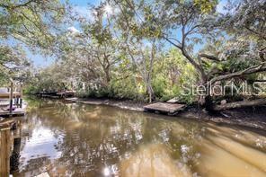 7420 BAY DR, TAMPA, FL, 33635