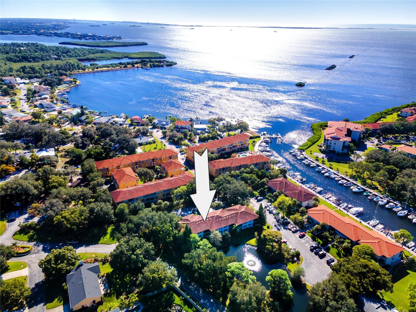 1800 MARINER DR #3, TARPON SPRINGS, FL, 34689