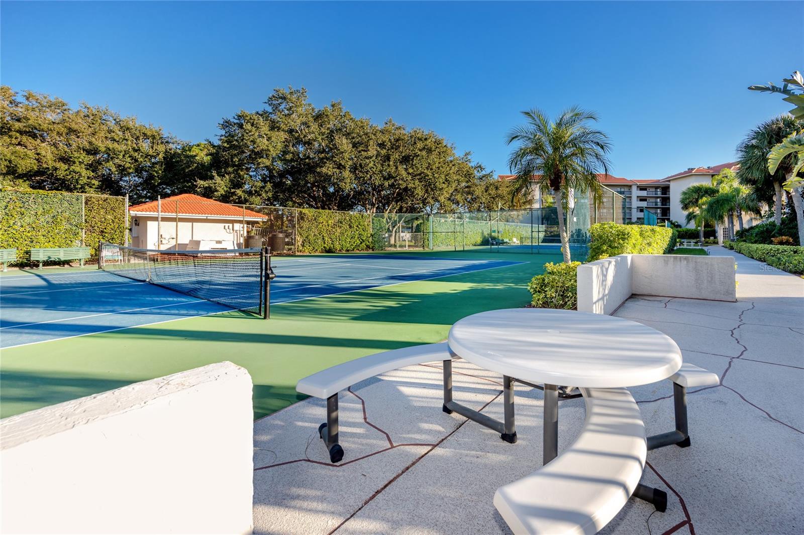 1800 MARINER DR #3, TARPON SPRINGS, FL, 34689