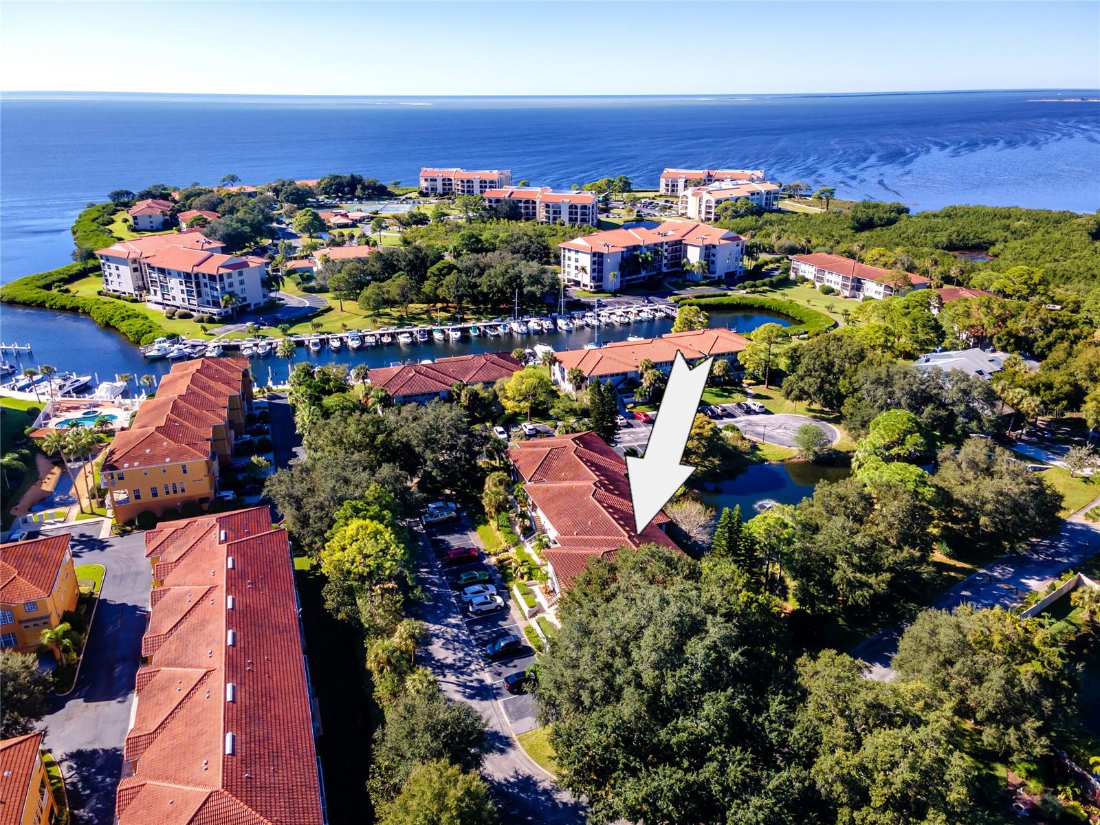 1800 MARINER DR #3, TARPON SPRINGS, FL, 34689