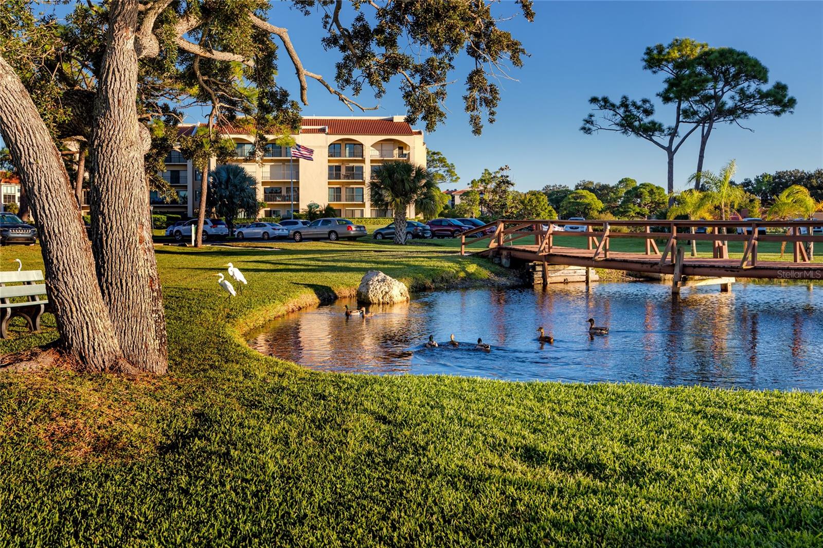1800 MARINER DR #3, TARPON SPRINGS, FL, 34689