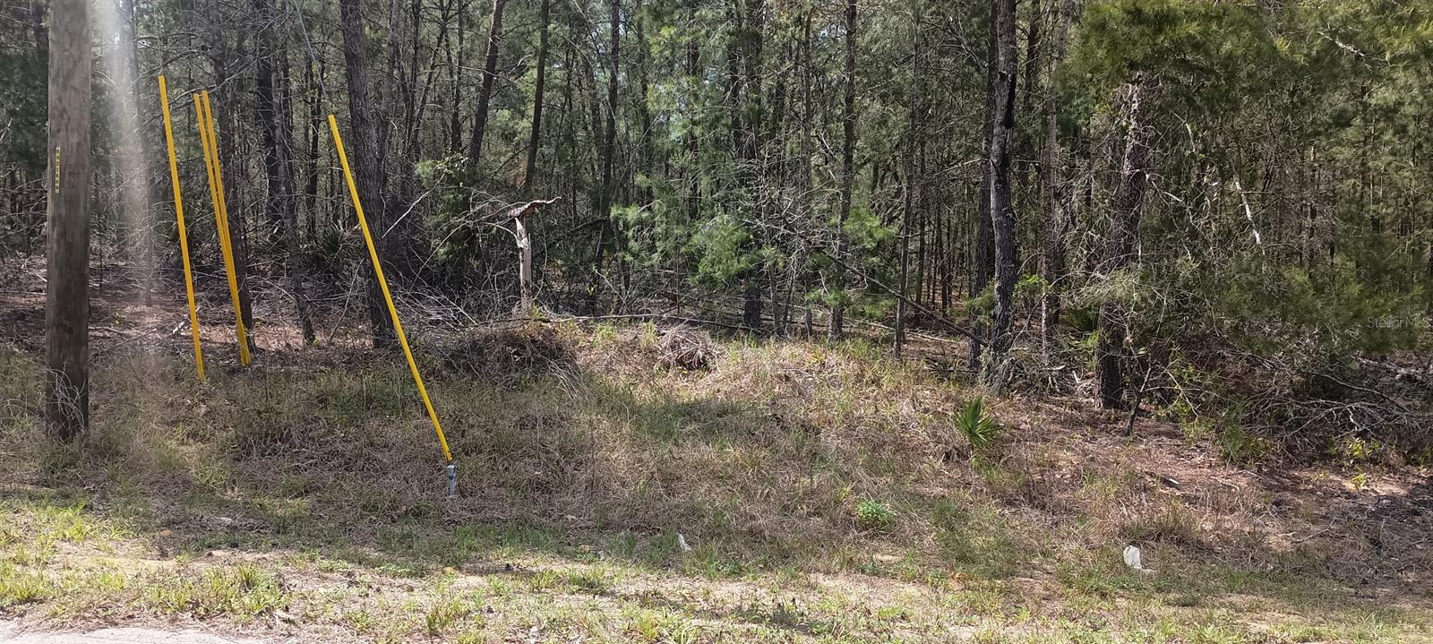 0 FISHER CT #Lot 13, OCKLAWAHA, FL, 32179