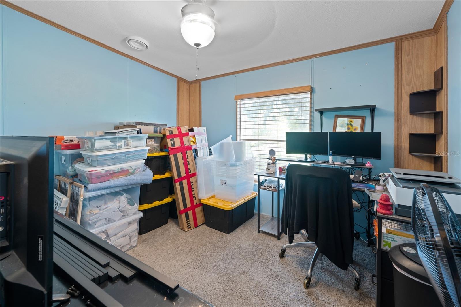 8040 PINE ISLAND RD, CLERMONT, FL, 34711